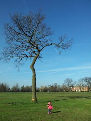 Crisp spring walk